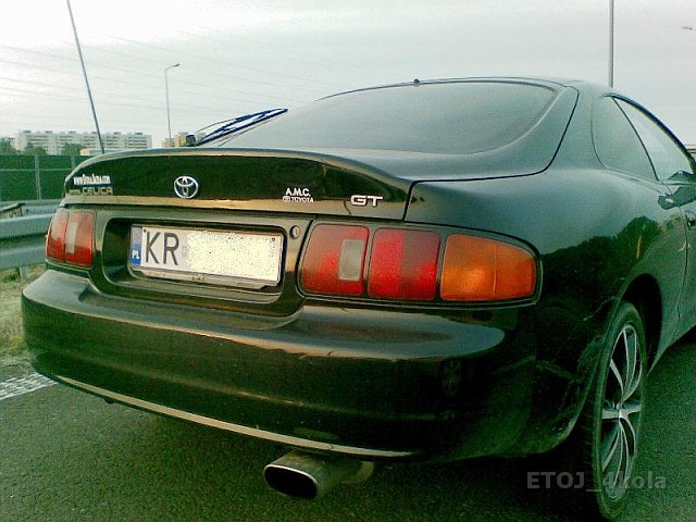 celicatoypl1.jpg