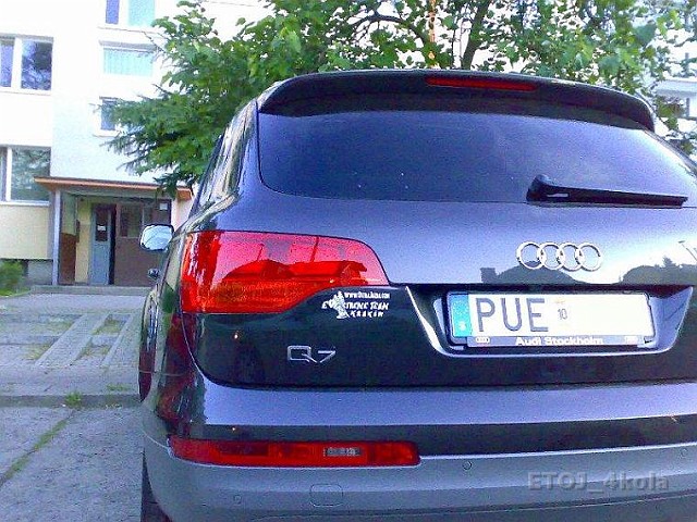 mariuszswedpj9.jpg