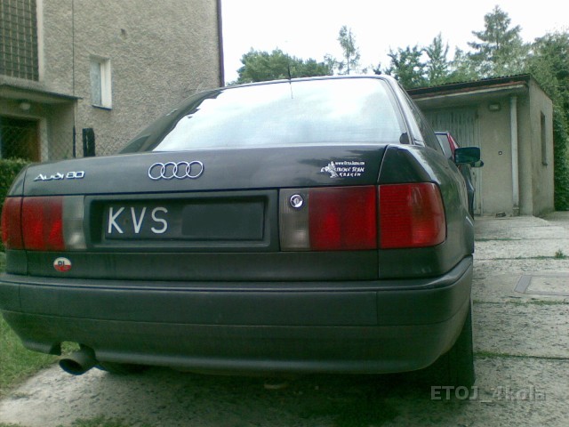 zdzisekdn5.jpg